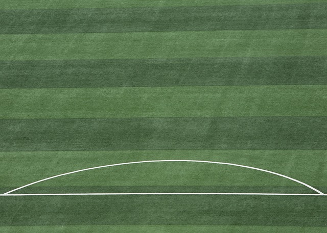 组织能力仍 组织能力仍