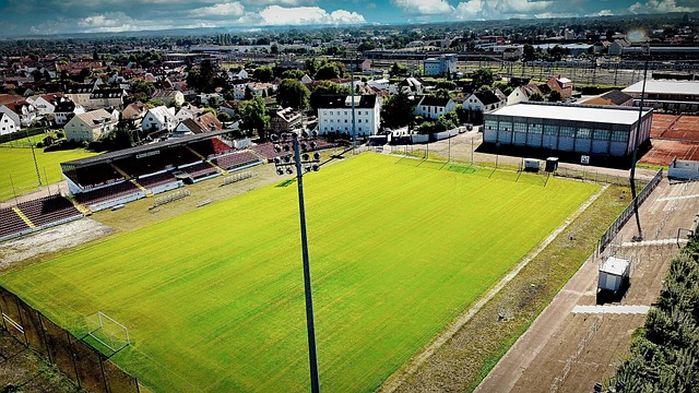 这或许正是 这或许正是