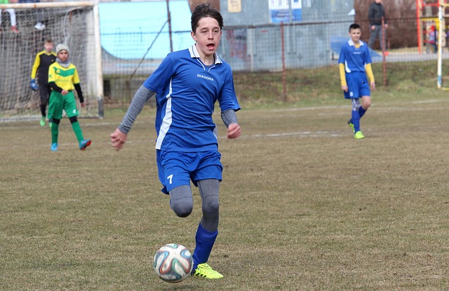 引領聯盟未 引領聯盟未