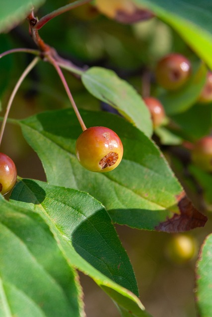 这一事件引 这一事件引