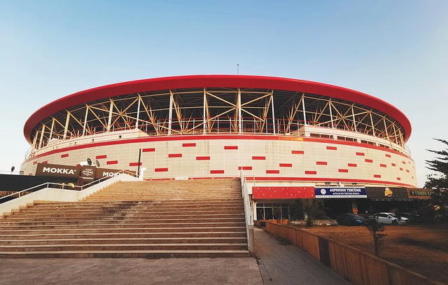 泰山队与海 泰山队与海