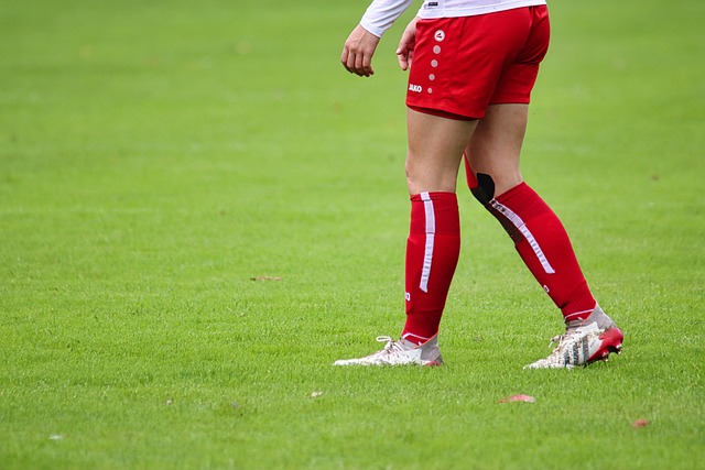 分钟由罗伊 分钟由罗伊